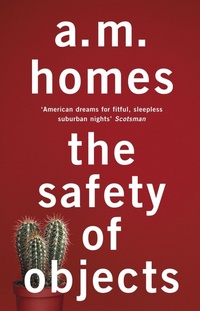 Enlarge image Cover: The Safety Of Objects - Granta Books