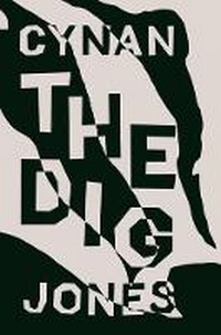 Enlarge image Cover: The Dig - Granta Books