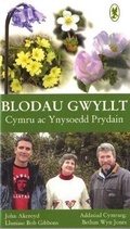 Cover: Blodau Gwyllt Cymru ac Ynysoedd Prydain - Gwasg Carreg Gwalch
