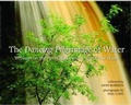Cover: Dancing Pilgrimage of Water, The - Writings on the Rivers, Lakes and Reservoirs of Wales - Gwasg Carreg Gwalch
