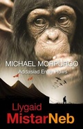 Cover: Llygaid Mistar Neb - Gwasg Carreg Gwalch