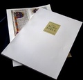 Cover: The Bury Bible - D.S. Brewer