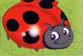 Cover: Ladybird - Autumn Publishing Ltd