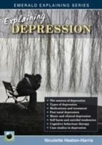 Enlarge image Cover: Explaining Depression - Emerald Publishing