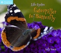 Cover: Life Cycles - QED Publishing