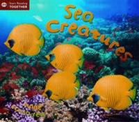 Enlarge image Cover: Sea Creatures - QED Publishing