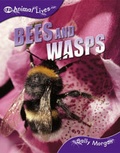Cover: Bees and Wasps - QED Publishing