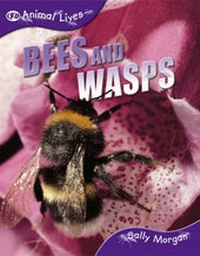 Enlarge image Cover: Bees and Wasps - QED Publishing