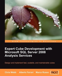 Enlarge image Cover: Expert Cube Development with Microsoft SQL Server 2008 Analysis Services - Packt Publishing
