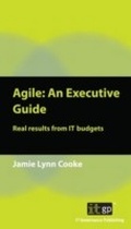 Cover: Agile: An Executive Guide - IT Governance Publishing