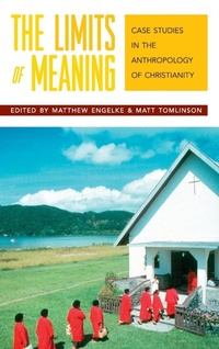 Enlarge image Cover: The Limits of Meaning - Berghahn Books
