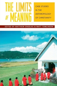 Enlarge image Cover: The Limits of Meaning - Berghahn Books