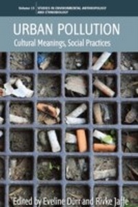Enlarge image Cover: Urban Pollution - Berghahn Books