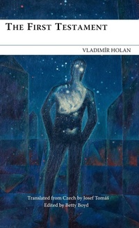 Enlarge image Cover: The First Testament - arima publishing