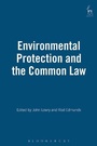 Cover: Environmental Protection and the Common Law - Hart Publishing