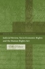 Cover: Judicial Review, Socio-Economic Rights and the Human Rights Act - Hart Publishing
