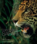 Cover: Rainforest Safari - Carlton Books Ltd