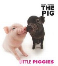 Abbildung von: Little Piggies - Carlton Books Ltd