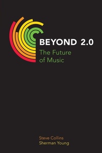 Enlarge image Cover: Beyond 2.0 - Equinox Publishing Ltd
