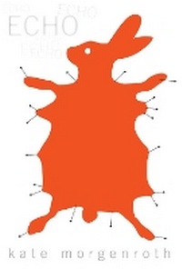 Enlarge image Cover: Echo - Simon & Schuster Childrens Books