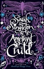 Cover: The Amethyst Child - Simon & Schuster Children's