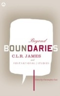 Cover: Beyond Boundaries - Pluto Press