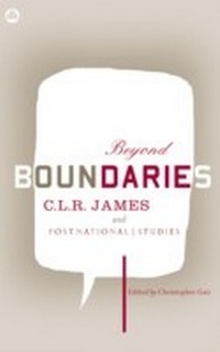 Enlarge image Cover: Beyond Boundaries - Pluto Press