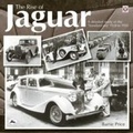 Cover: The Rise of Jaguar - NYU Press