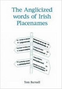 Abbildung von: The Anglicization of Irish Place Names - The History Press Ltd