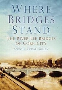 Abbildung von: Where Bridges Stand - Nonsuch Publishing