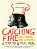Cover: Catching Fire - Profile Books Ltd