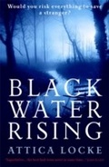 Cover: Black Water Rising - Serpent's Tail