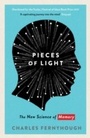 Cover: Pieces of Light - Profile Books Ltd