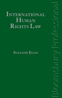 Enlarge image Cover: The UN Human Rights Treaty System - Bloomsbury Professional