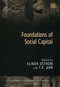 Enlarge image Cover: Foundations of Social Capital - Edward Elgar Publishing