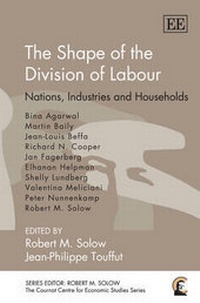 Enlarge image Cover: The Shape of the Division of Labour - Edward Elgar Publishing