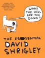 Cover: What The Hell Are You Doing?: The Essential David Shrigley - Canongate Books