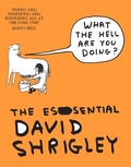 Cover: What The Hell Are You Doing?: The Essential David Shrigley - Canongate Books