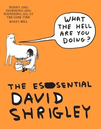 Enlarge image Cover: What The Hell Are You Doing?: The Essential David Shrigley - Canongate Books
