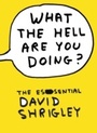 Cover: What The Hell Are You Doing?: The Essential David Shrigley - Canongate Books