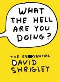 Enlarge image Cover: What The Hell Are You Doing?: The Essential David Shrigley - Canongate Books