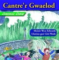 Cover: Chwedlau Chwim: Cantre'r Gwaelod - Y Lolfa