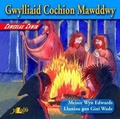 Cover: Chwedlau Chwim: Gwylliaid Cochion Mawddwy - Y Lolfa