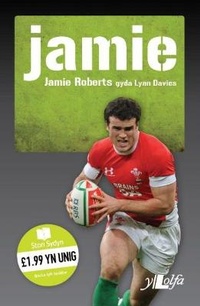 Abbildung von: Stori Sydyn: Jamie ? Y Llew yn Ne Affrica - Y Lolfa