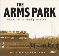 Abbildung von: The Arms Park - Y Lolfa