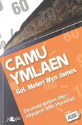 Cover: Cyfres ar Ben Ffordd: Camu Ymlaen - Lefel 1 Mynediad - Y Lolfa