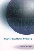 Cover: Ymarfer Ysgrifennu Cymraeg - Y Lolfa