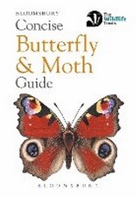 Enlarge image Cover: Concise Butterfly and Moth Guide - New Holland Publishers Ltd
