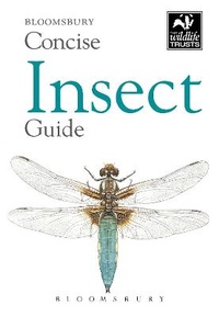Bild vergrößern Bild: Concise Insect Guide - New Holland Publishers Ltd