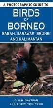 Cover: A Photographic Guide to Birds of Borneo - New Holland Publishers Ltd